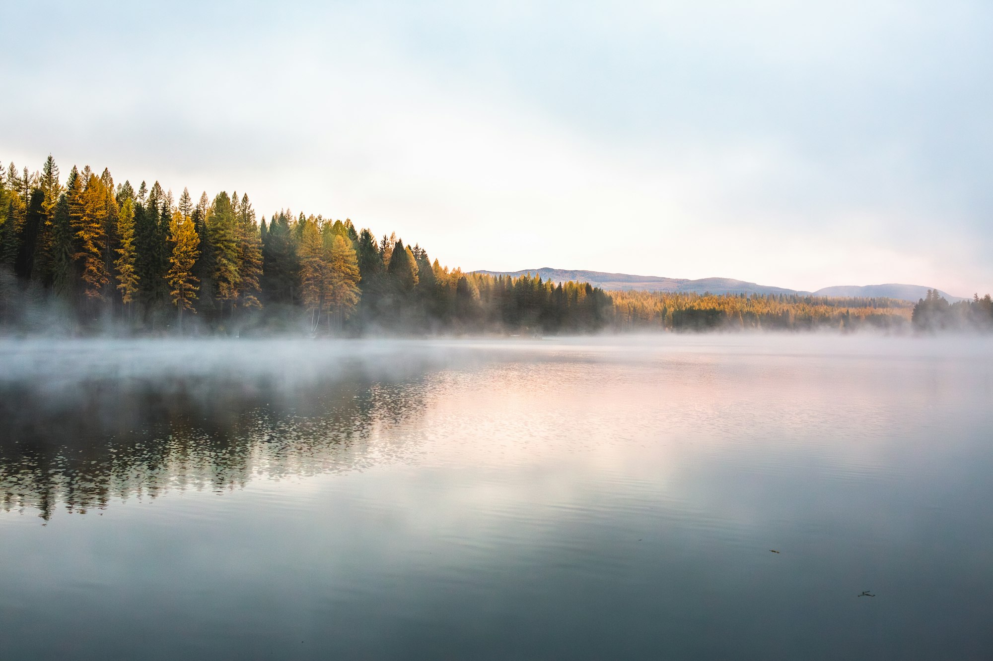 Lac de Saint-Cassien